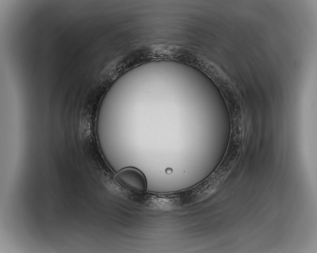 X0000116560706200912171410