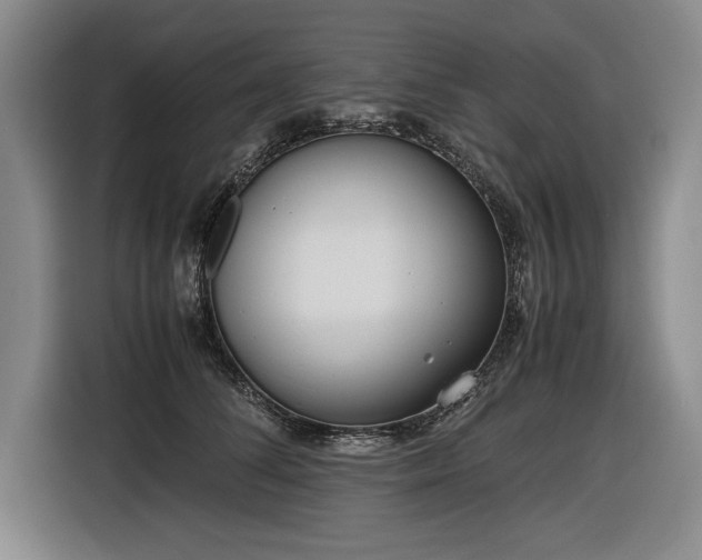 X0000116560708200912171410