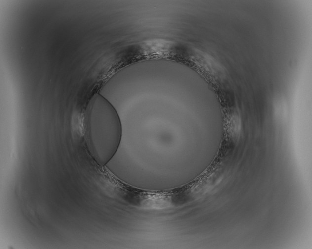 X0000116560709200912171410