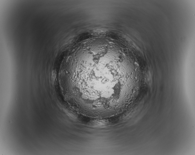 X0000116560711200912171410