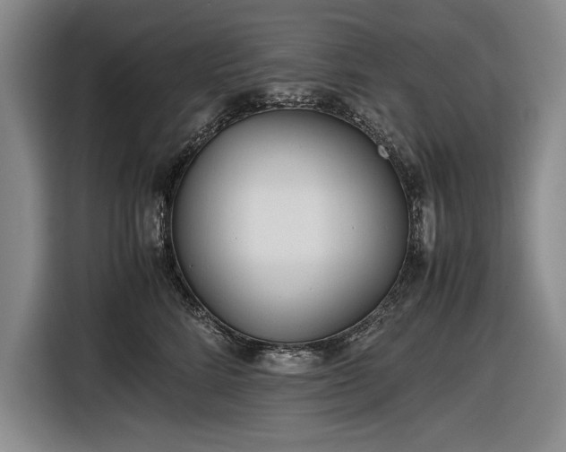 X0000116560712200912171410