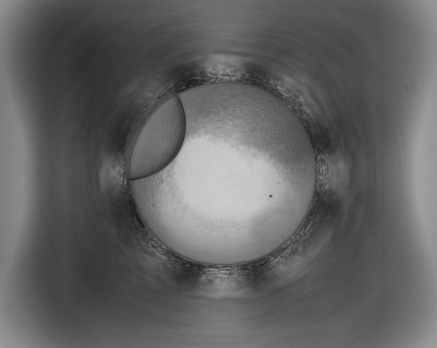 X0000116560713200912171409