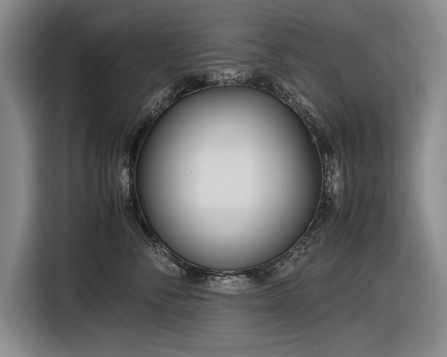 X0000116560716200912171409