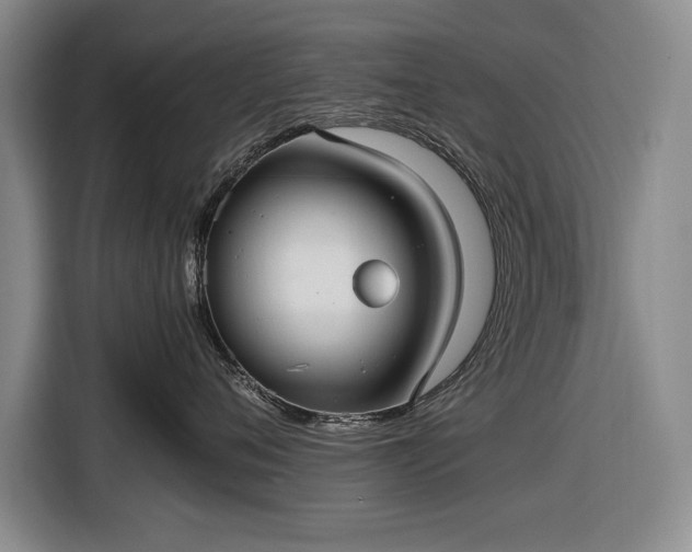 X0000116560720200912171409