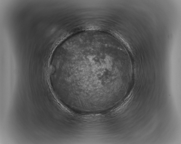 X0000116560721200912171409