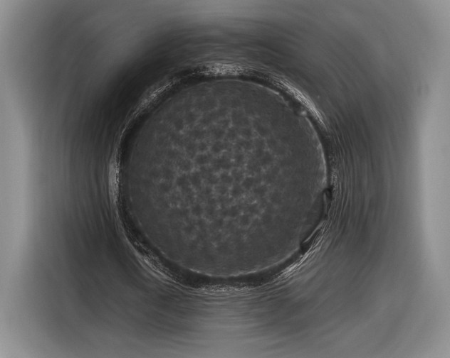 X0000116560722200912171409