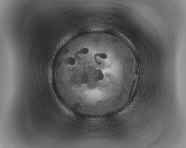 X0000116560725200912171409