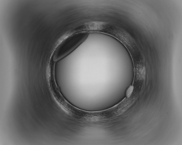 X0000116560726200912171409