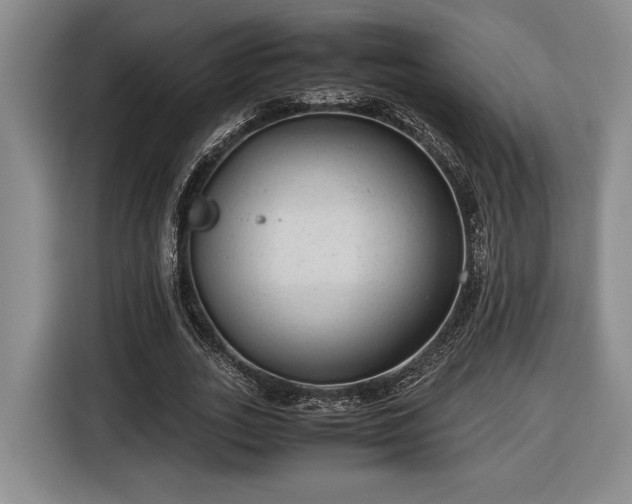 X0000116560727200912171409