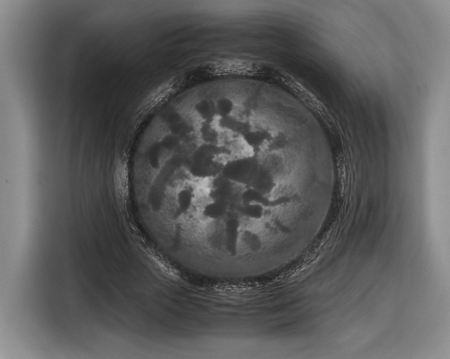 X0000116560729200912171409