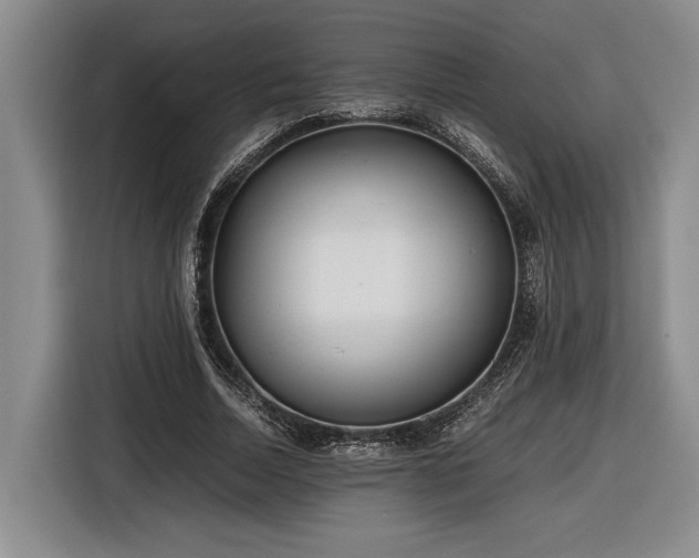 X0000116560730200912171409