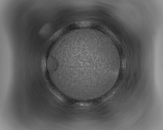 X0000116560733200912171409