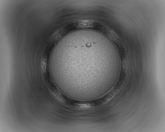 X0000116560741200912171409