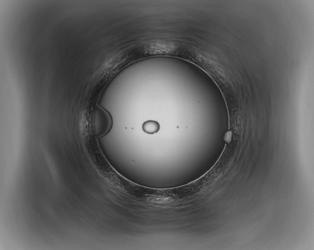 X0000116560743200912171409