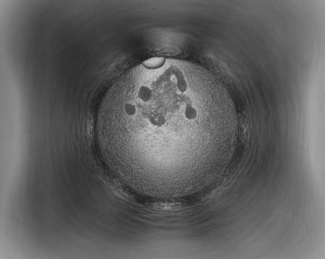 X0000116560745200912171409