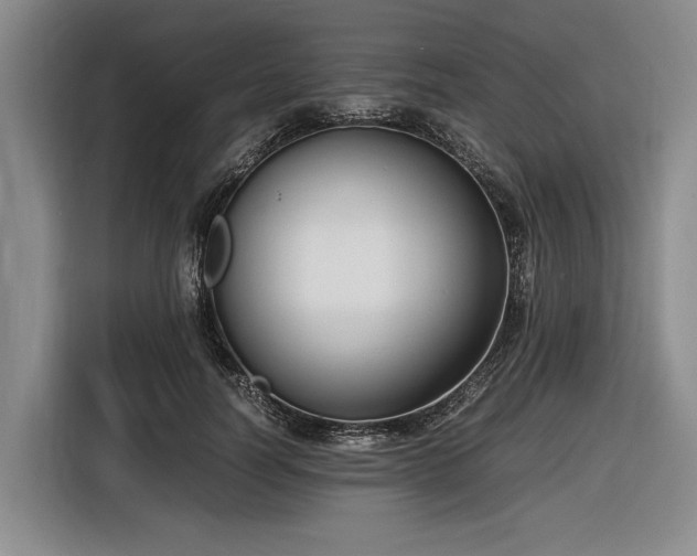 X0000116560746200912171409