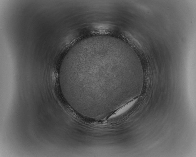 X0000116560747200912171409