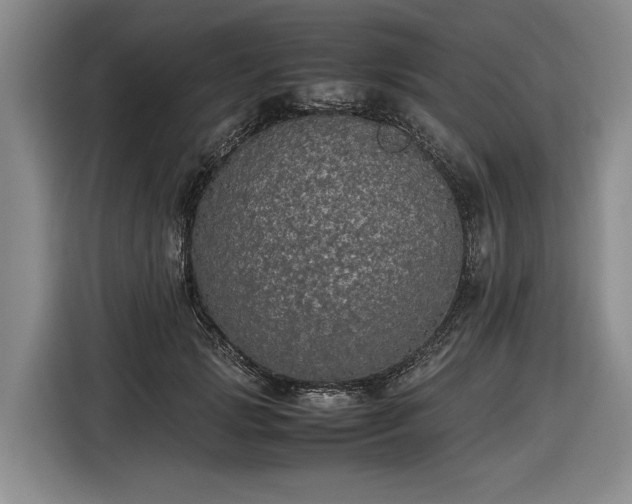 X0000116560749200912171409