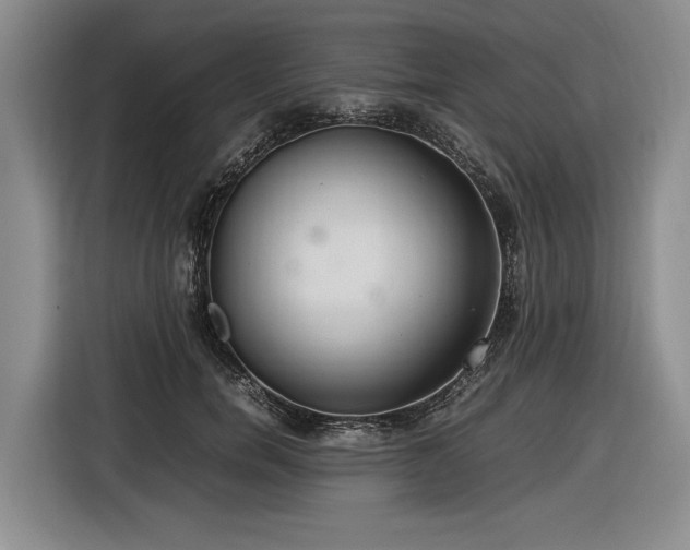 X0000116560750200912171409