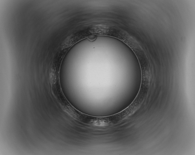 X0000116560751200912171409