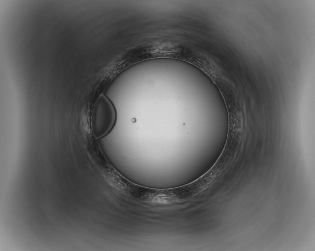 X0000116560755200912171409