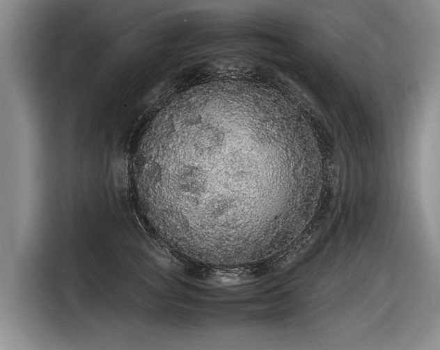 X0000116560757200912171409