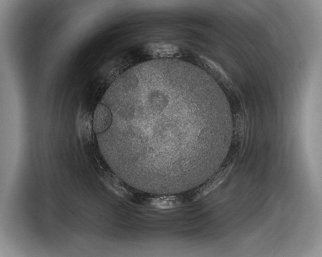 X0000116560761200912171409