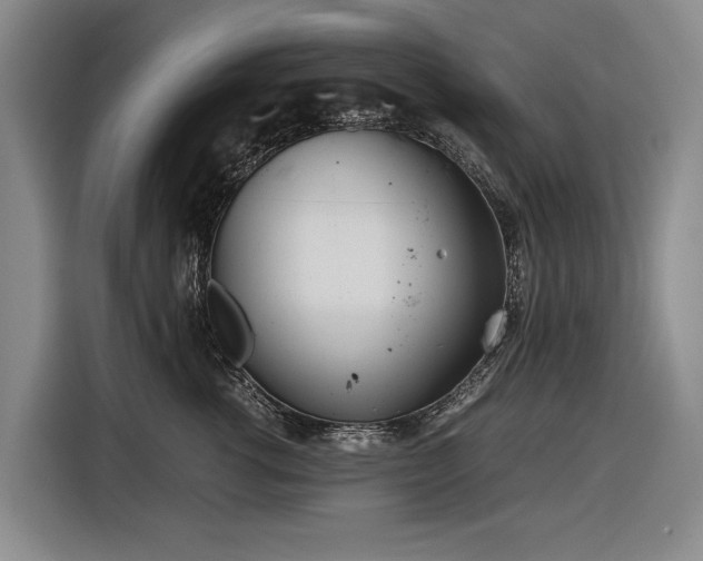 X0000116560762200912171409