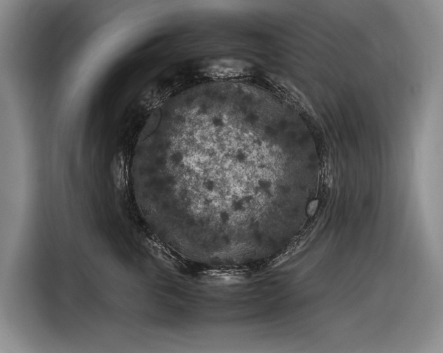 X0000116560763200912171409