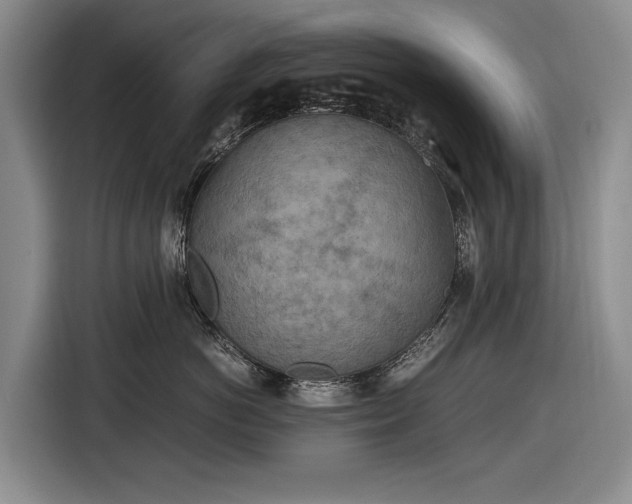 X0000116560766200912171409