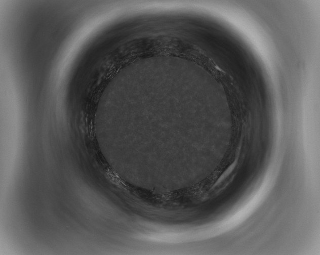 X0000116560767200912171409