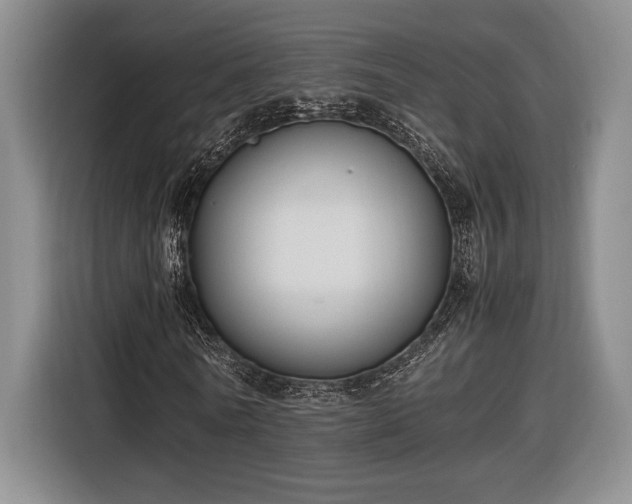 X0000116560770200912171409