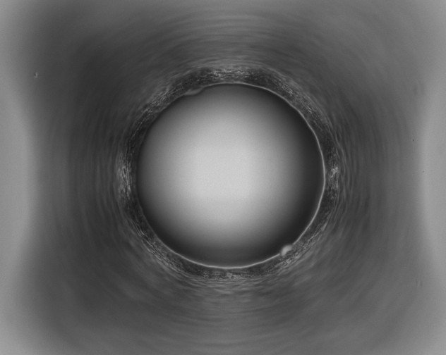 X0000116560772200912171409