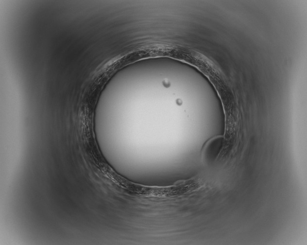 X0000116560773200912171409