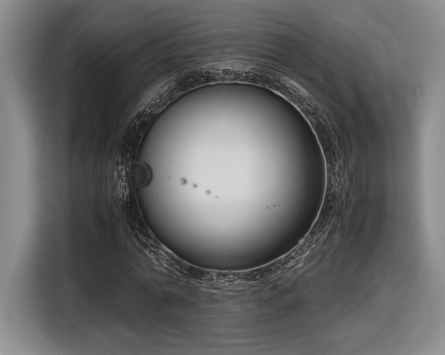 X0000116560774200912171409