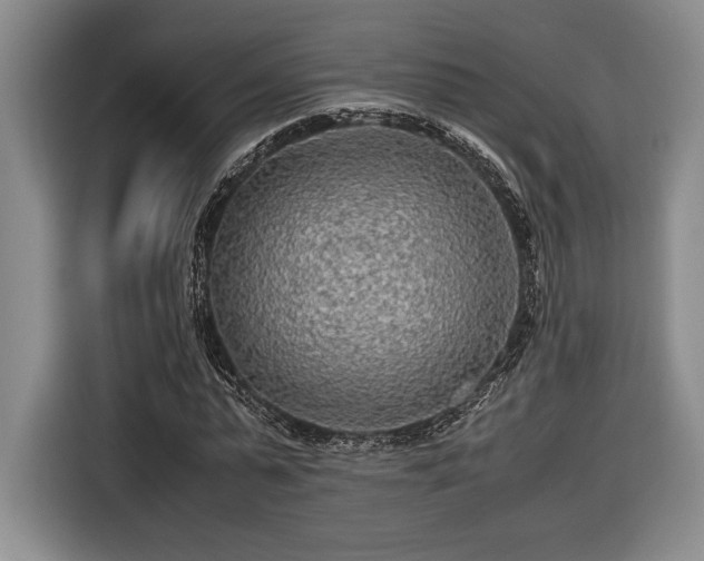 X0000116560775200912171409