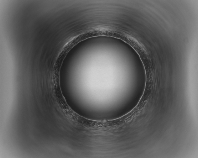 X0000116560776200912171409