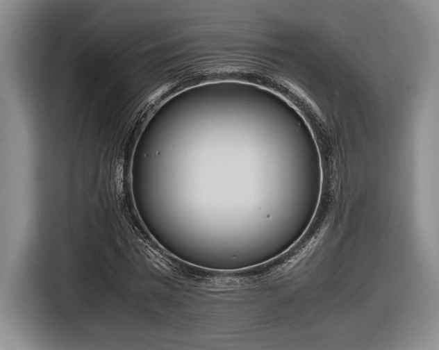 X0000116560777200912171409