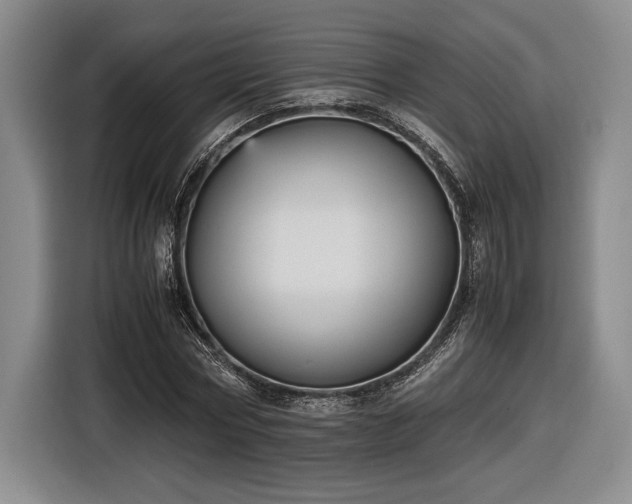 X0000116560778200912171409