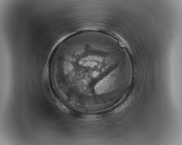 X0000116560779200912171409