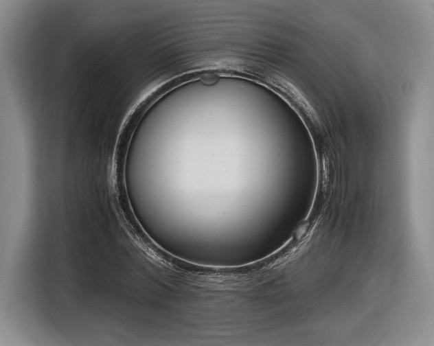 X0000116560780200912171409