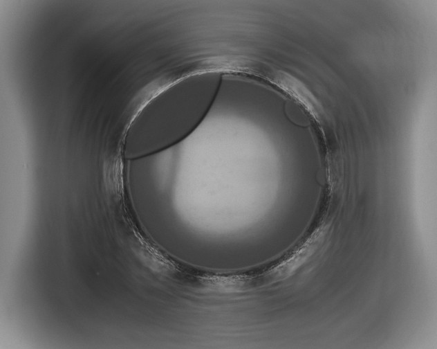 X0000116560781200912171409