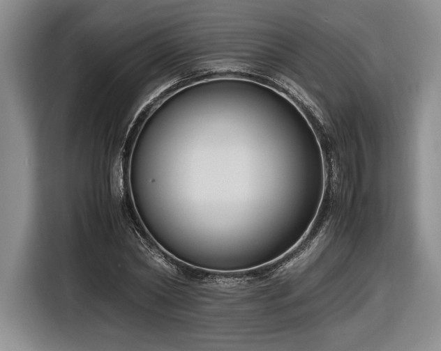 X0000116560782200912171409