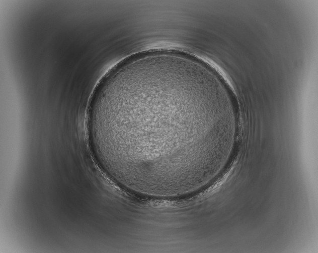 X0000116560783200912171409