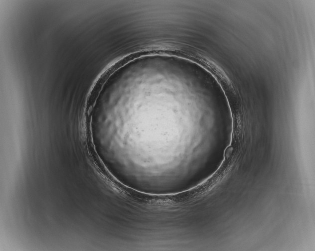 X0000116560784200912171409