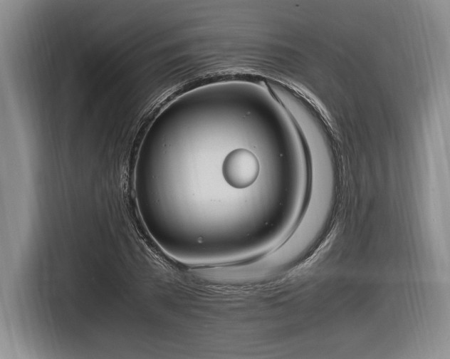 X0000116560785200912171409