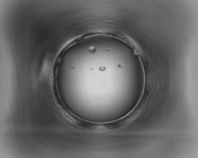 X0000116560787200912171409