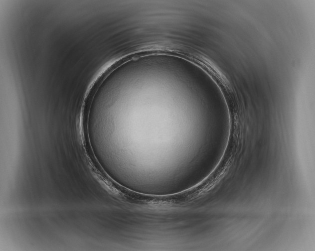 X0000116560788200912171409