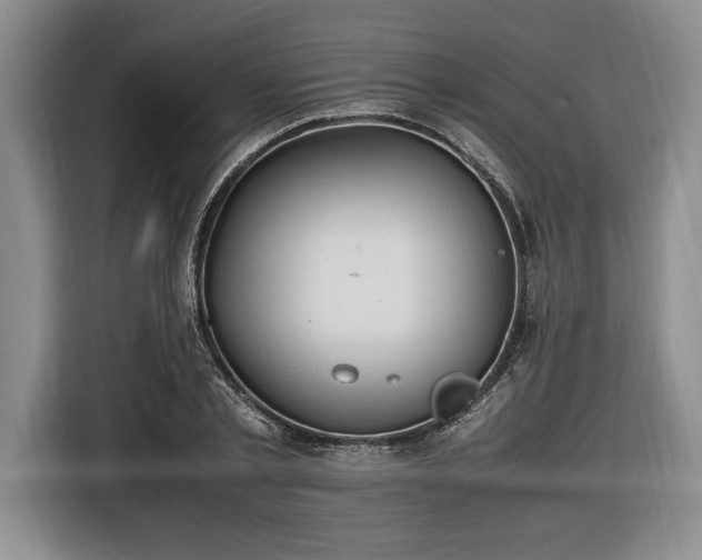 X0000116560789200912171409