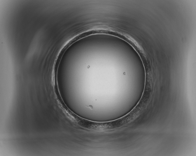 X0000116560791200912171408